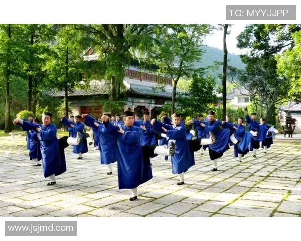 武术文化传承与创新探索：从传统技艺到现代发展之路