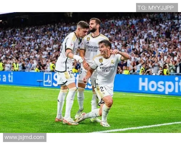 德国足球甲级联赛发展历程与当前竞争格局分析