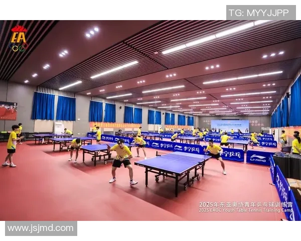 乒乓球的魅力与精神：深入了解上海乒乓球队的训练与文化