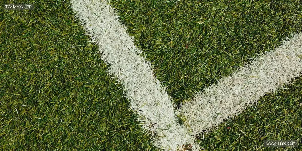 超清直播,实时互动,身临其境!📺💬