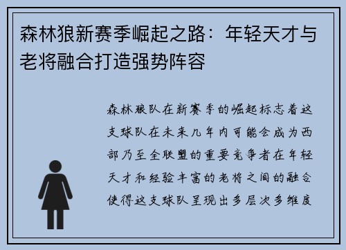 森林狼新赛季崛起之路：年轻天才与老将融合打造强势阵容